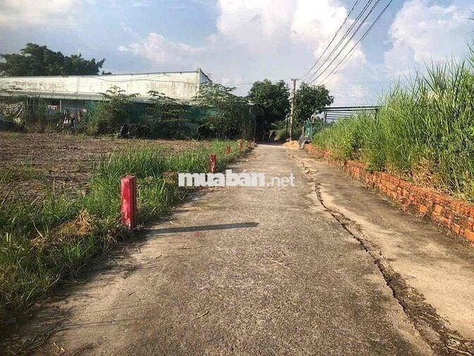 BÁN ĐẤT HXH, LÔ GOC , ĐẠI PHƯỚC NHƠN TRẠCH ĐỒNG NAI 80 M , CHỈ 1 ty250
