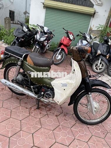 Cup 50cc 2022