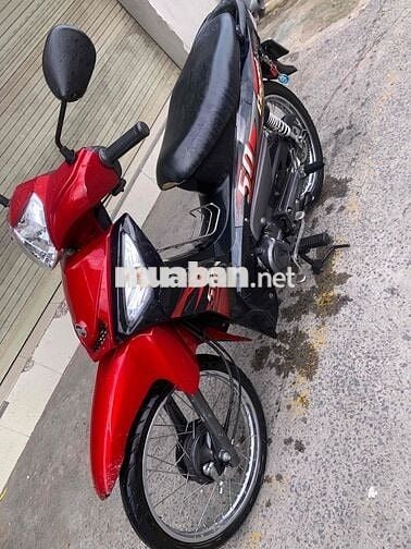 Elegant 50cc bstp