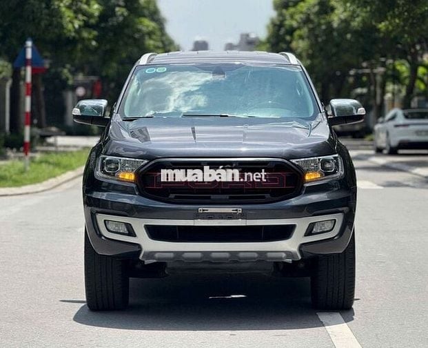 Ford Everest Trend 2020