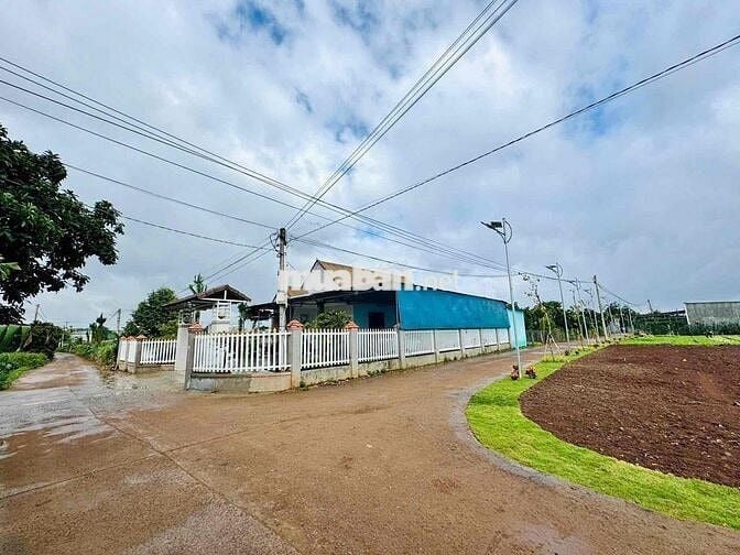 Đất có thổ cư sổ hồng riêng tại xã Tân Hội - Lâm Đồng