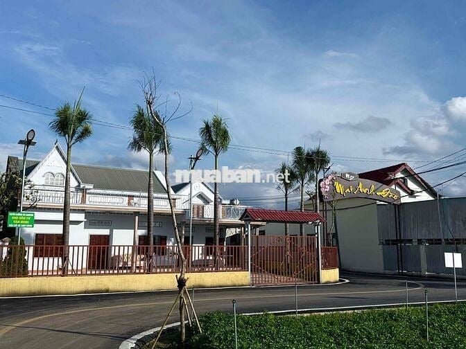 Đất sổ hồng 180m2 đường Mai Anh Đào