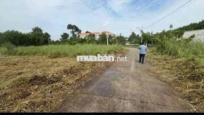 THANH LÝ GẤP LÔ ĐẤT LAI UYÊN BÀU BÀNG 190M