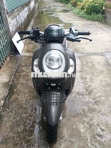 Scoopy