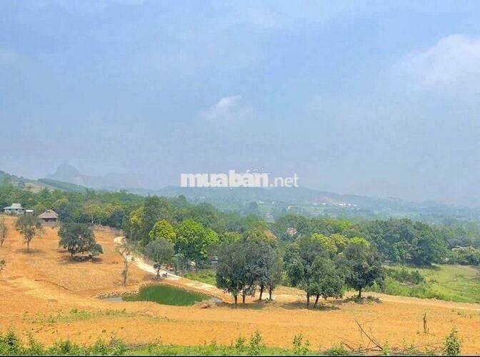 Bán hơn 4ha đất nghỉ dưỡng view đẹp giá rẻ tại Lương Sơn Hòa Bình