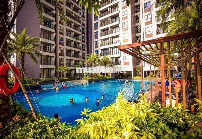 TT Avio-  56m2-1,98 tỷ - e tự chiết khấu tặng cho a/c thêm 2 chỉ vàng