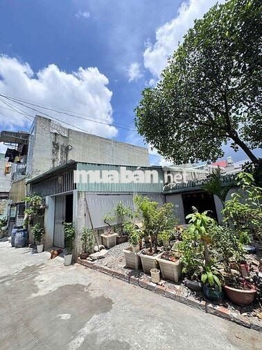 Bán đất tặng nhà tạm kdc gần ngã 3 Cây Điệp p. Tân Đông Hiệp Dĩ An