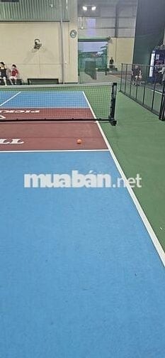 9 sân pickleball sang nhượng 700tr tân thới hiệp q12
