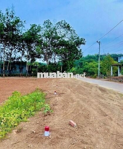 Gia đình cần tiền bán gấp miếng  đất nền gần ngay chợ Long Hà Đồng Nai