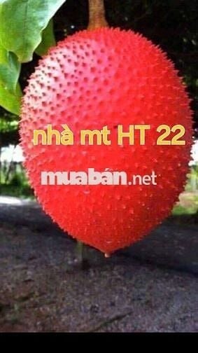 Nhà mt HT 22 khu chợ buôn bán ngày đêm