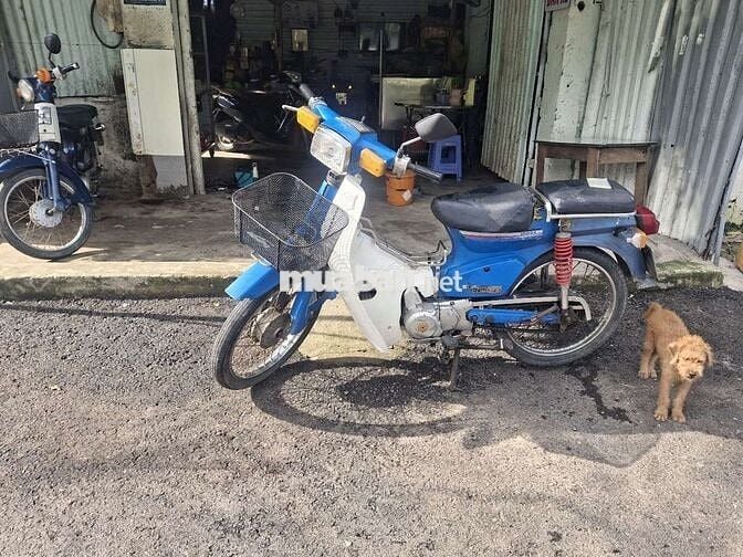 Xe cúp nhật