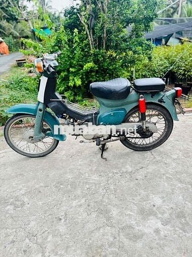 cúp 50cc