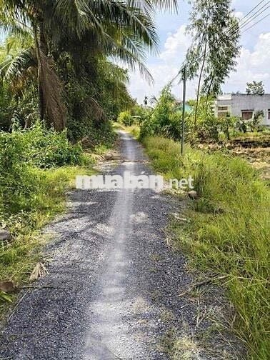 sổ hồng riêng dt:1600m2 đất vườn , xã an thạnh - bến lức - long an