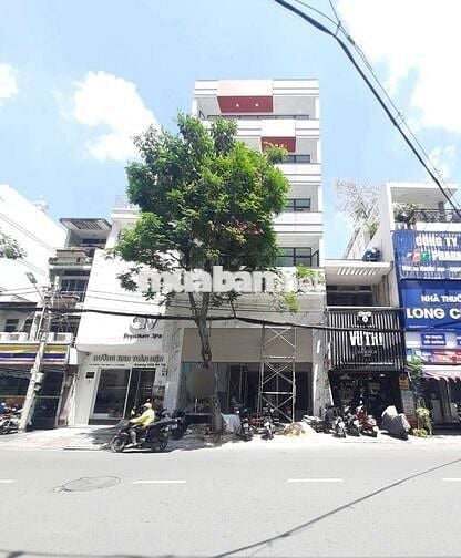 Tòa vp mới xây 100% Mặt tiền Trương Công Định, p14. Dt. 8,4x16m 7 lầu