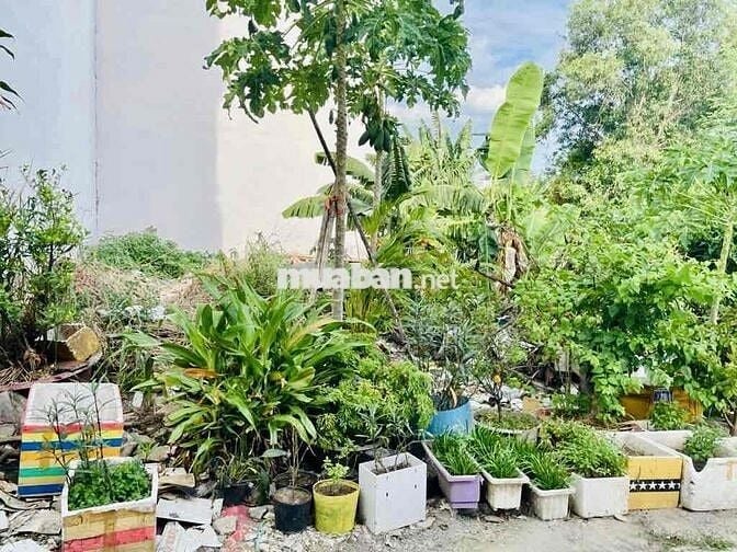 BÁN ĐẤT LIÊN KHU 4-5, 62M2, NGANG 6M, NỞ HẬU, HẺM OTO THÔNG