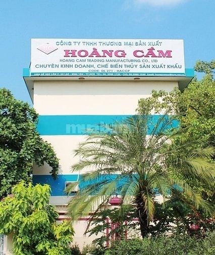 Cần 30 anh chị làm công ty chế biến thủy sản tại An Lạc, Bình Tân 