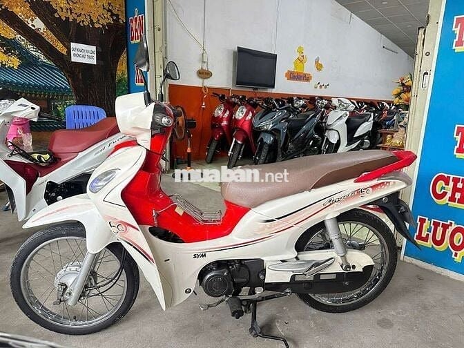 Angela 50cc