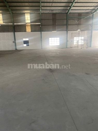 Cho thuê kho xưởng 1.300m2–2.500m2 ngoài KCN Bến Lức Long An, cont 24H