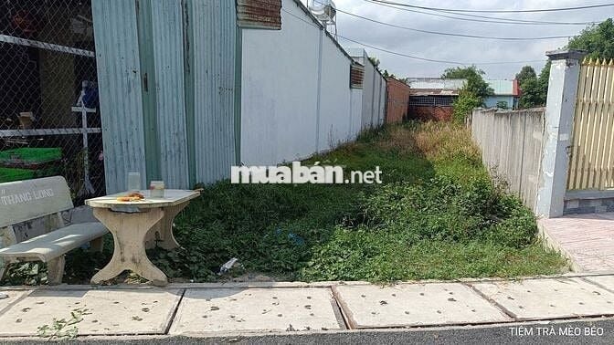 CHỦ CẦN BÁN GẤP CẮT LỖ SÂU LÔ ĐẤT THỔ CƯ NGAY PHƯỚC VĨNH AN, CỦ CHI