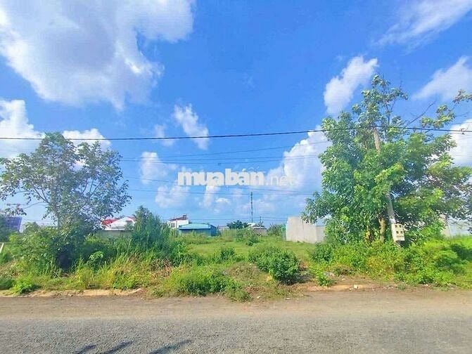 CG Bán Cặp Nền 200m² Đường Số 10 - KDC Đông Phú - Châu Thành