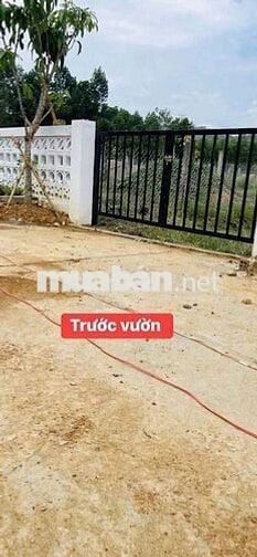 299tr có ngay khu vườn nghỉ dưỡng tại Thị trấn Madagui,đầy đủ hạ tầng