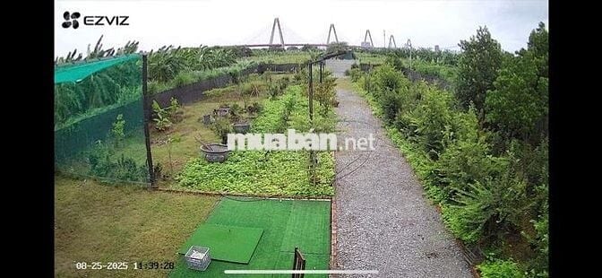Đất nông nghiệp 3000m2 tại Đông Anh giá 3,XX tỷ
