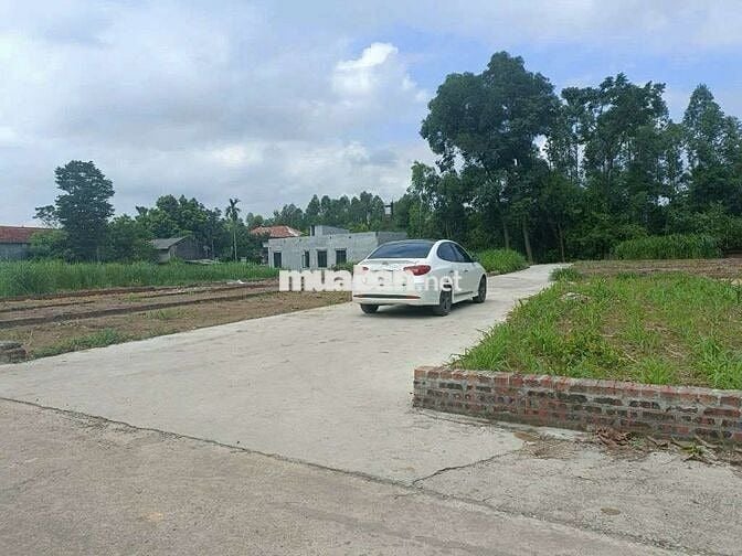 Bán Đất - Thái Lai (Minh Trí) - 67M2 Full Thổ Cư - 1,5 Tỷ