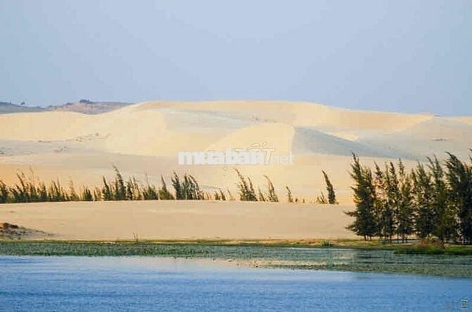 Chính chủ: Cần bán đất nông nghiệp-gần kdl Bàu Trắng