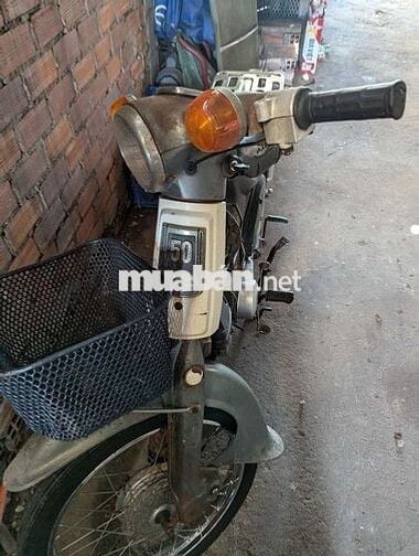 81 đời  cao máy im