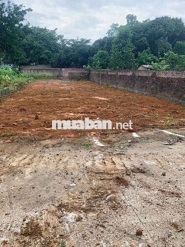 CC BÁN ĐẤT LÀN 2 TRỤC CHÍNH LIÊNHUYỆN HÒATHẠCH QUỐCOAI 245,7M GIÁ3,8TỶ