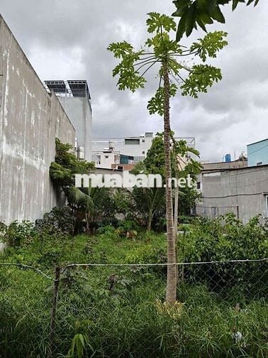 Lô Đất Tân Thới Hiệp 21, 90m2 sổ hồng riêng Nhỉnh 4 Tỷ