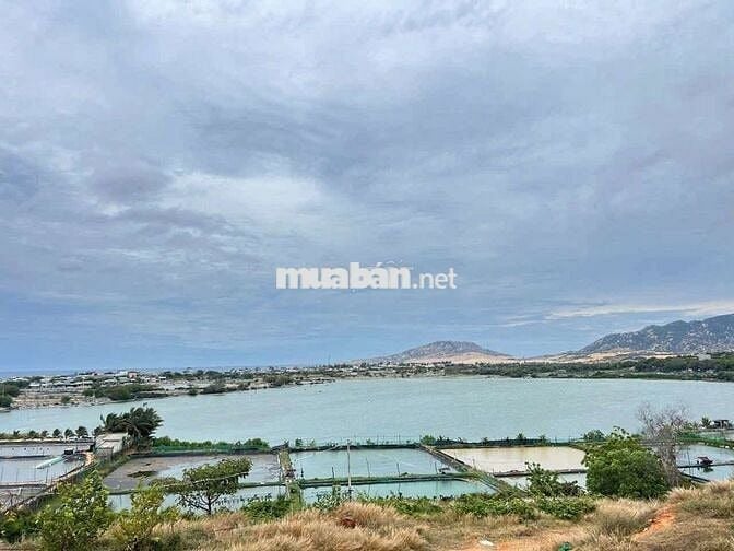 Kẹt tiền!!! Bán lỗ 4200m2 thổ cư 300m2 đất Sơn Hải chỉ 6ty5
