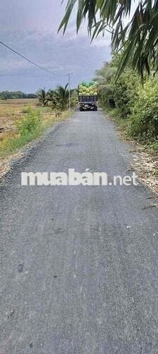 thổ cư , DT:175m2 , giá : 399tr , xã mỹ thạnh - thủ thừa - long an