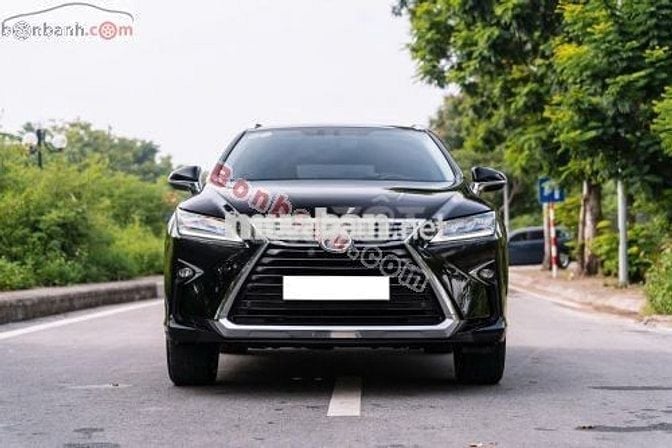Lexus RX 300 2019
