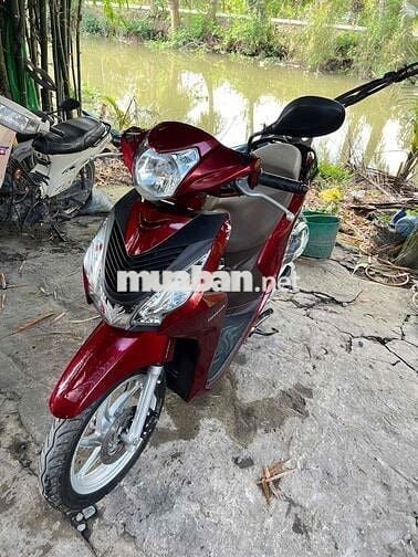 vison sieu đẹp zin mới tinh