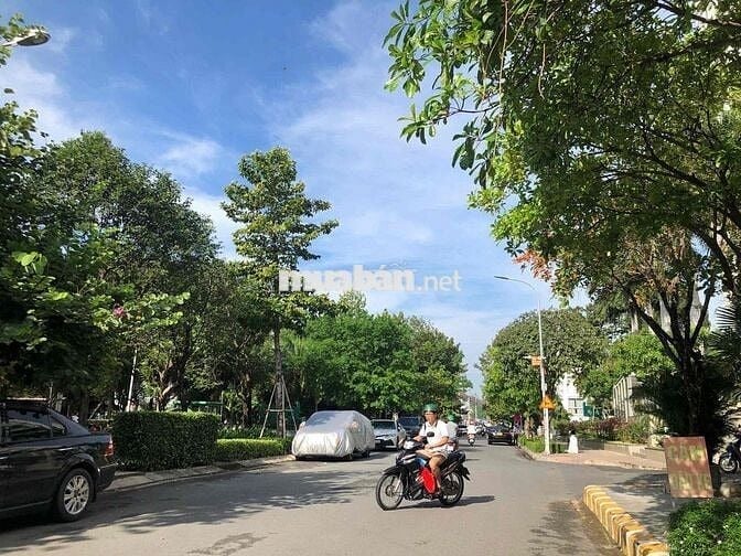 ĐẤT MẶT TIỀN HIẾM – HIỆP BÌNH CHÁNH, TP. THỦ ĐỨC – GIÁ TỐT C