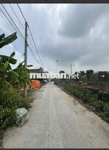 Chính chủ cần bán 2 lô đất liền kề 110m2/1 lô