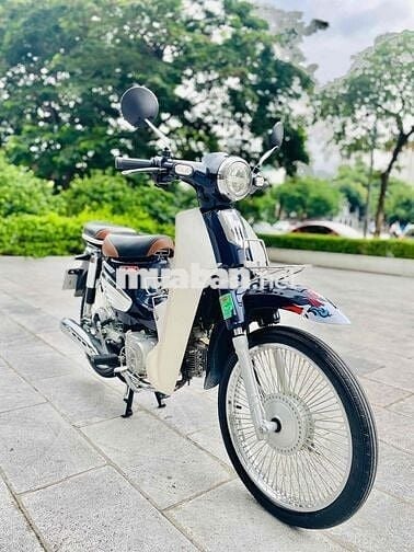 Cub Ally 50cc đèn lét biển HN 2023