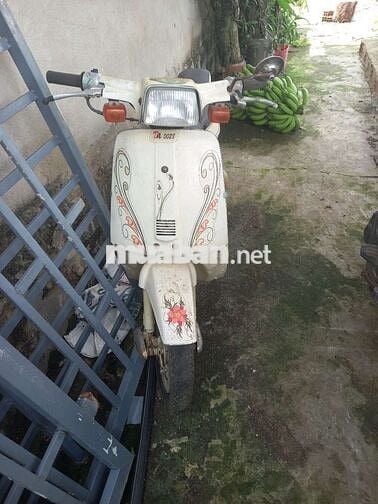Xe honda hai thì