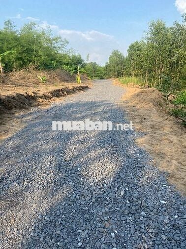 BÁN 1001M2 ĐẤT CÓ SẴN 80M2 THỔ CƯ,CÓ 30M MẶT TIỀN ĐƯỜNG HIỂN THỊ, 750T
