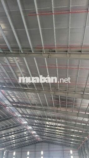 Cho thuê kho xưởng 900m2 – 1.300m² Trần Văn Giàu,Bình Tân,PCCC tự động