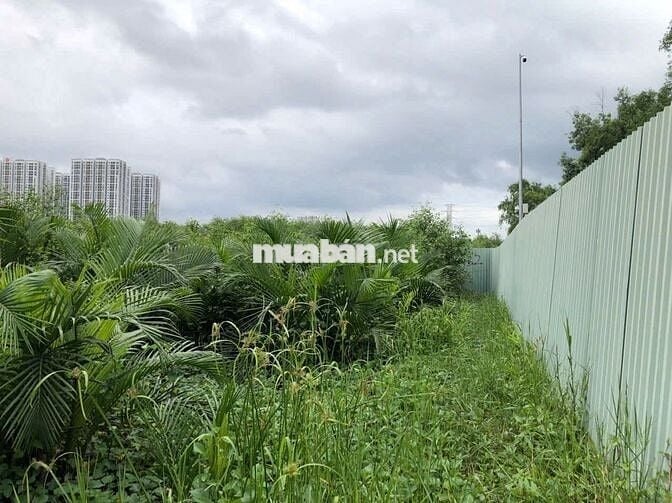 Bán Lô Đất Đường Gò Ô Môi, P. Phú Thuận-  Q7. DT: 20x48. Giá: 13,8 tỷ
