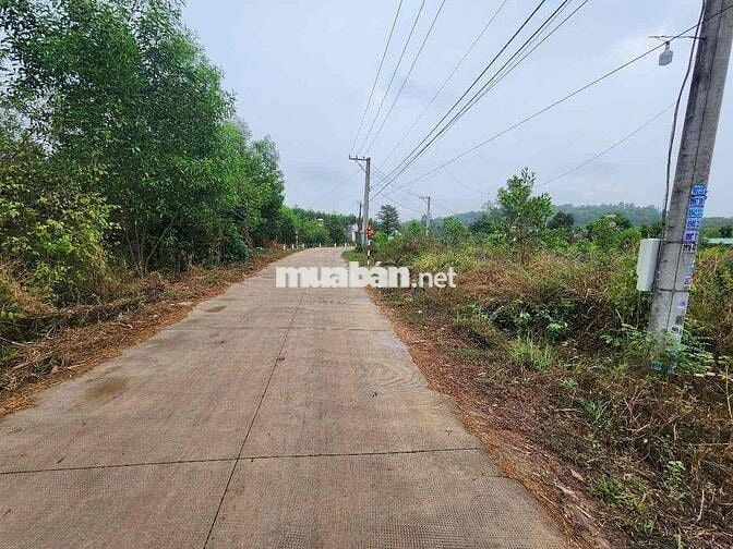 ĐẤT  NGỘP NGÂN HÀNG  CẦN BÁN GẤP