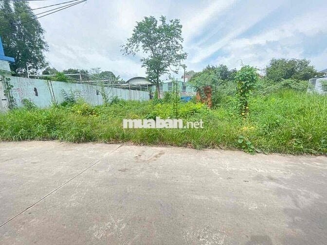 ĐẤT HIỆP THÀNH BÌNH DƯƠNG CŨ. SÁT BỆNH VIỆN 512.ĐƯỜNG 5M THÔNG i HÌNH