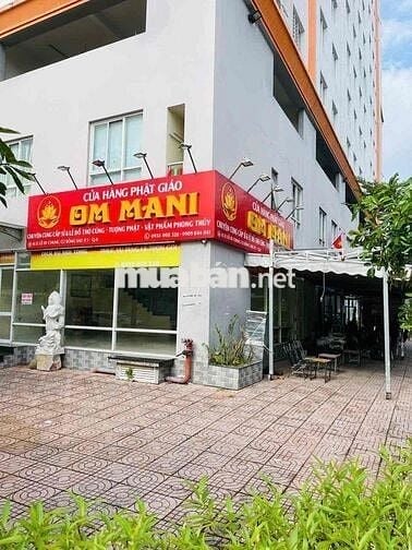 Cho thuê Shophouse Chung cư bông sao 2 mt