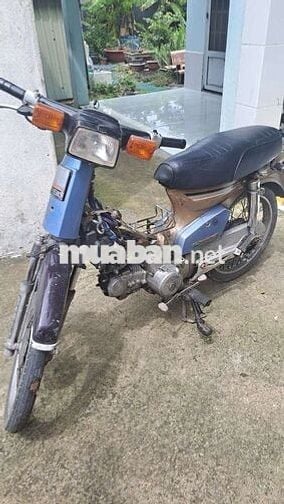 Cub 84 có đề