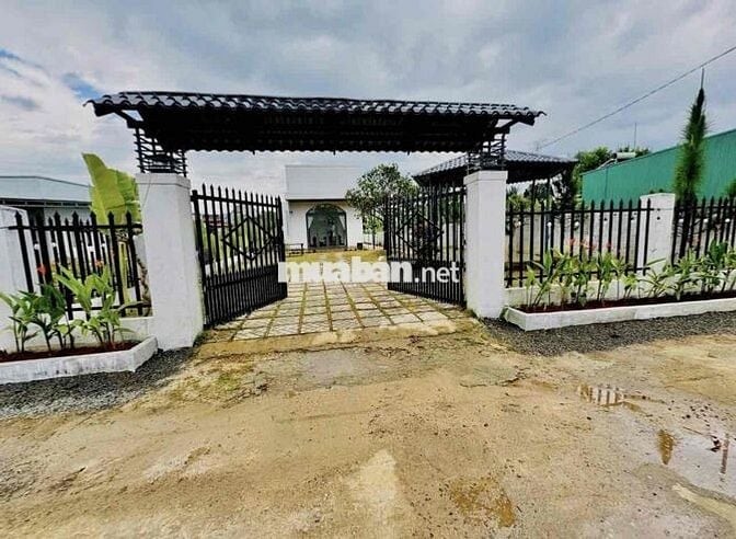 Bể nợ bán lỗ gấp lại nhà vườn 595m2 giá 799tr ngay khu đông dân cư