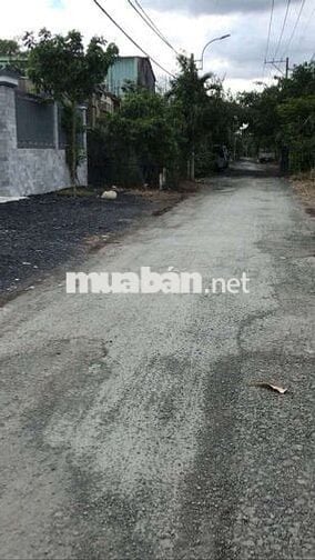 🌍Đất vườn phong phú ( nay là bình hưng )cách quốc lộ chỉ 250m xe tải