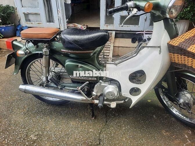 Cub Cánh Én 1980