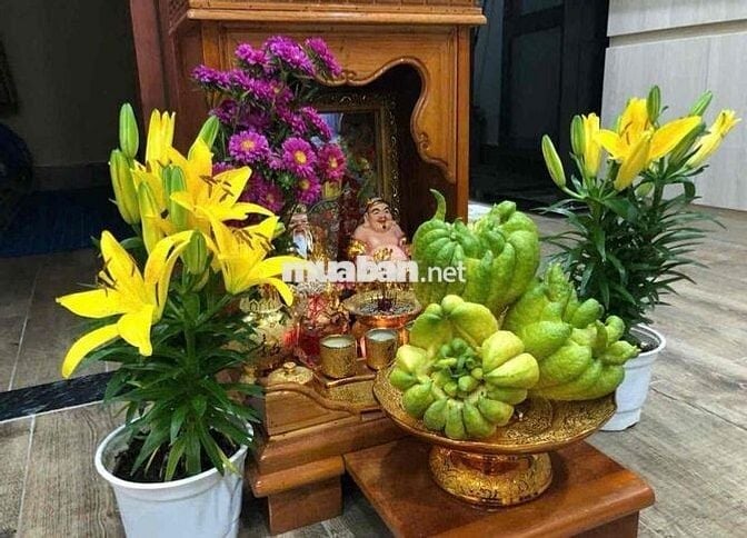 Cường thuận nhà đẹp vị trí đắc địa